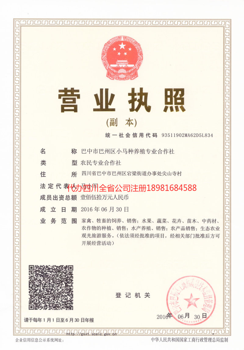 保定保定小马种养殖专业合作社